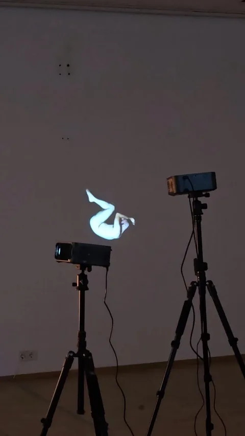 HumanMapping at Ars Electronica